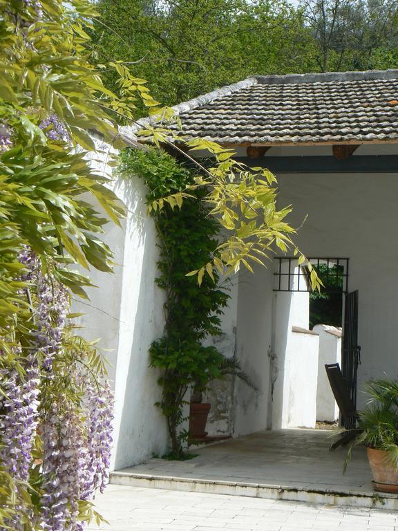 Pozos De La Nieve Apartment Constantina