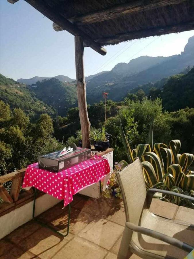 Casa El Chaparral Songbird Mountain Apartment Benadalid