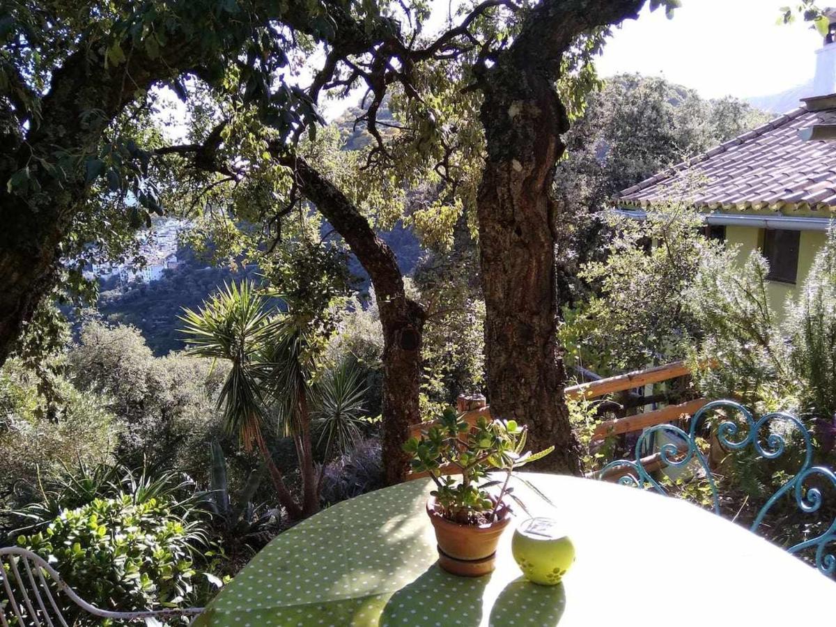 Casa El Chaparral Songbird Mountain