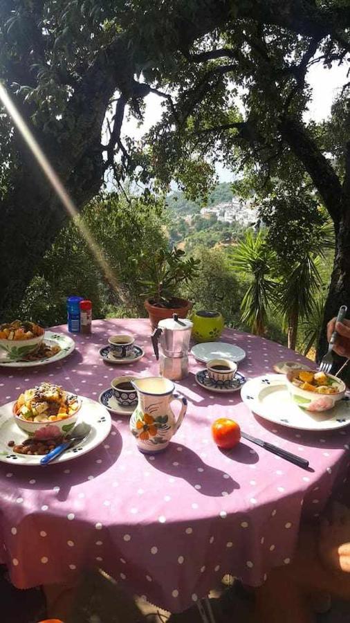 Apartment Casa El Chaparral Songbird Mountain *