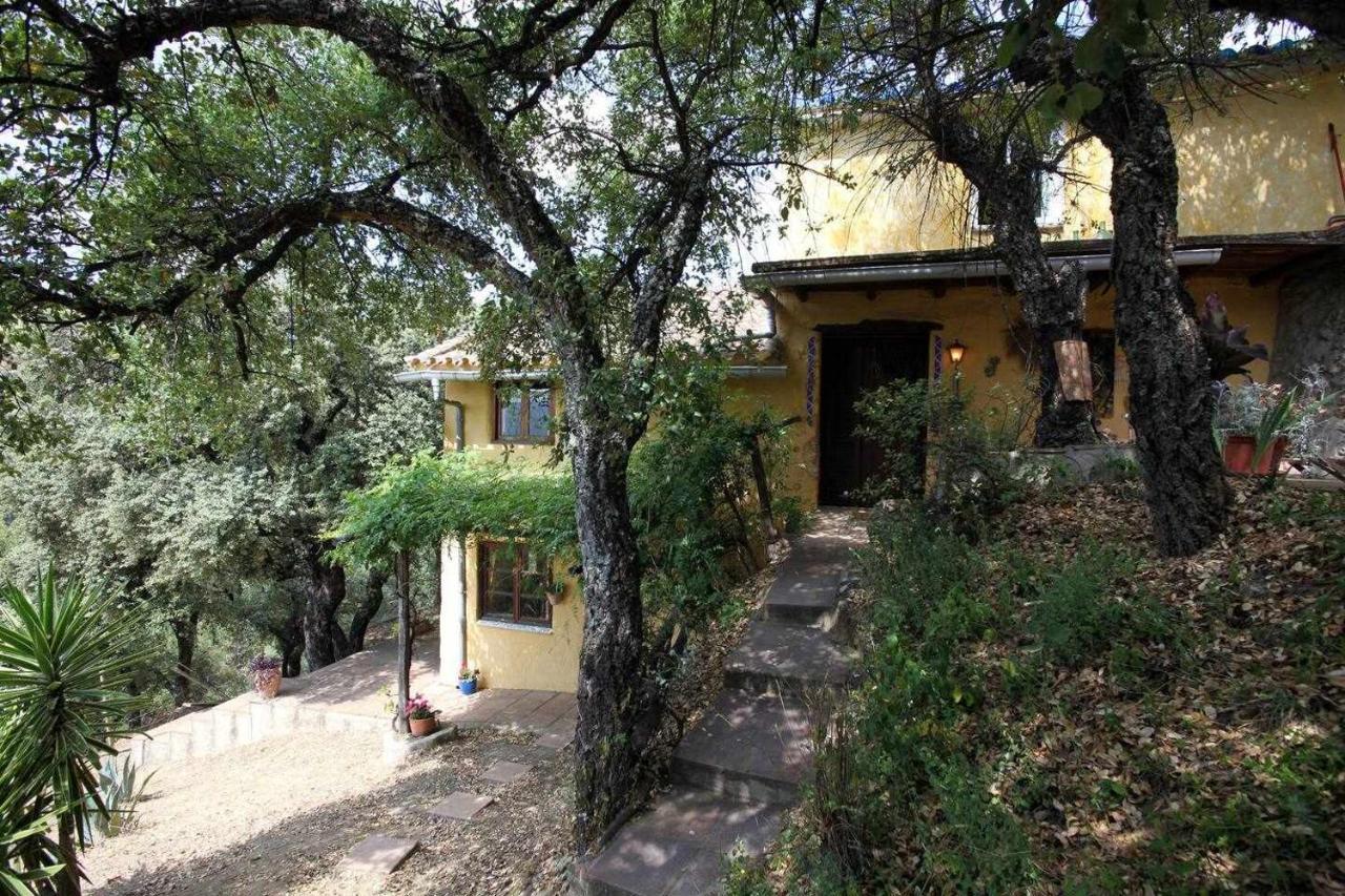 Casa El Chaparral Songbird Mountain