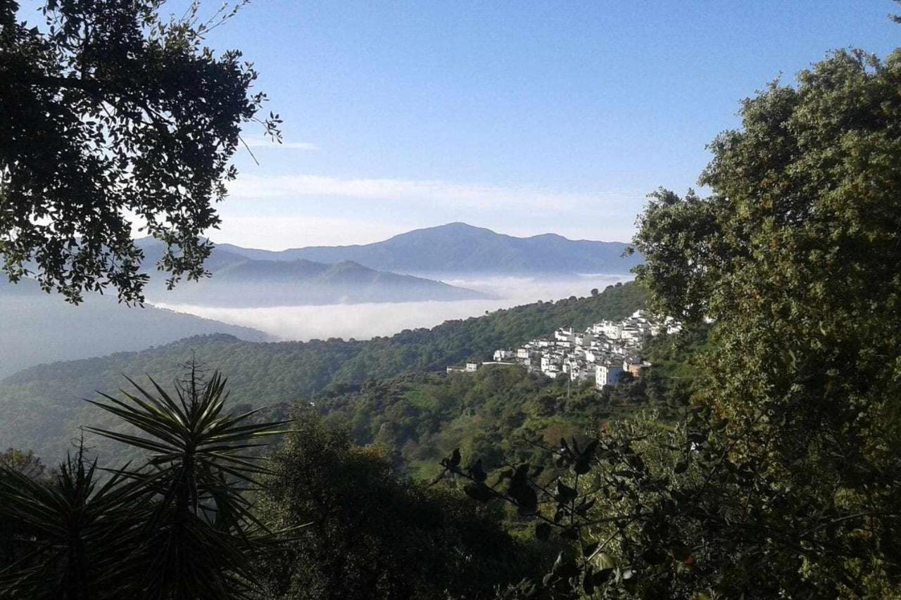Casa El Chaparral Songbird Mountain Apartment Benadalid