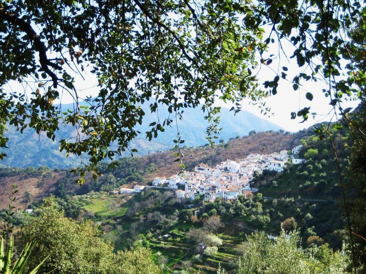 Apartment Casa El Chaparral Songbird Mountain Benadalid