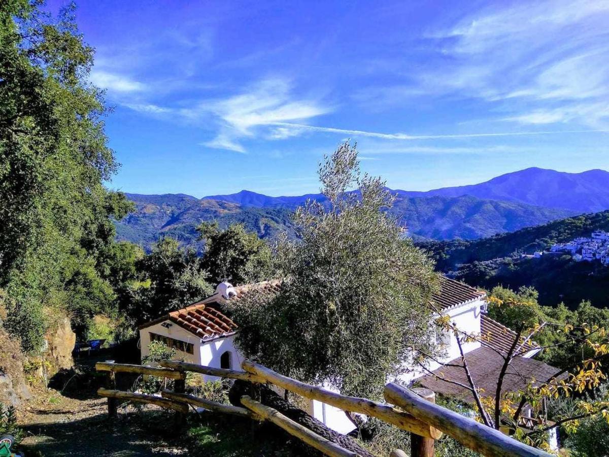 Apartment Casa El Chaparral Songbird Mountain