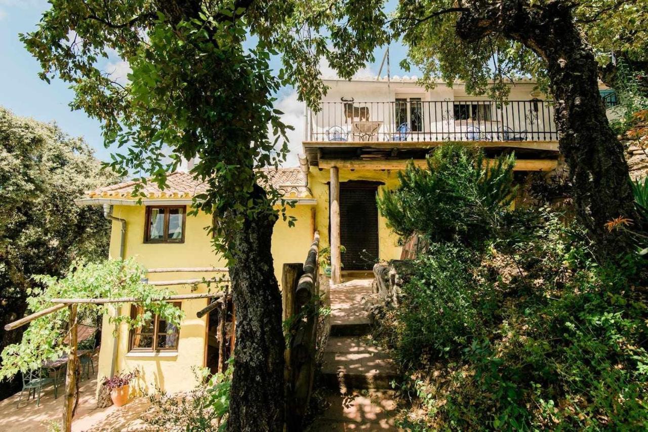 Apartment Casa El Chaparral Songbird Mountain Benadalid