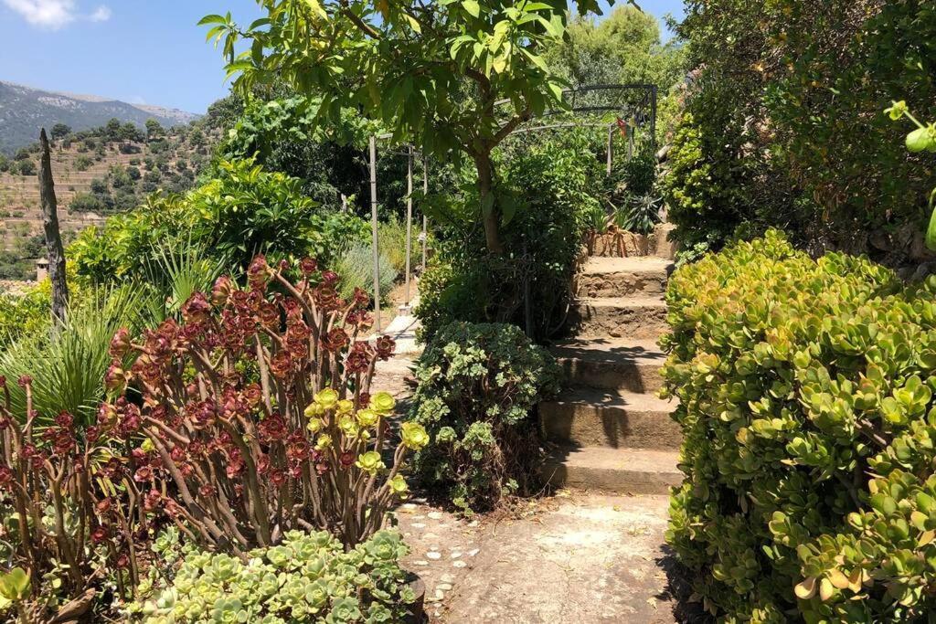 Holiday home Sky Garden Mallorca - Ca'n Tomeu