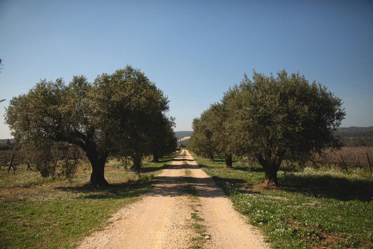 Masia Bartomeu Rural House Between Vineyards 2km From The