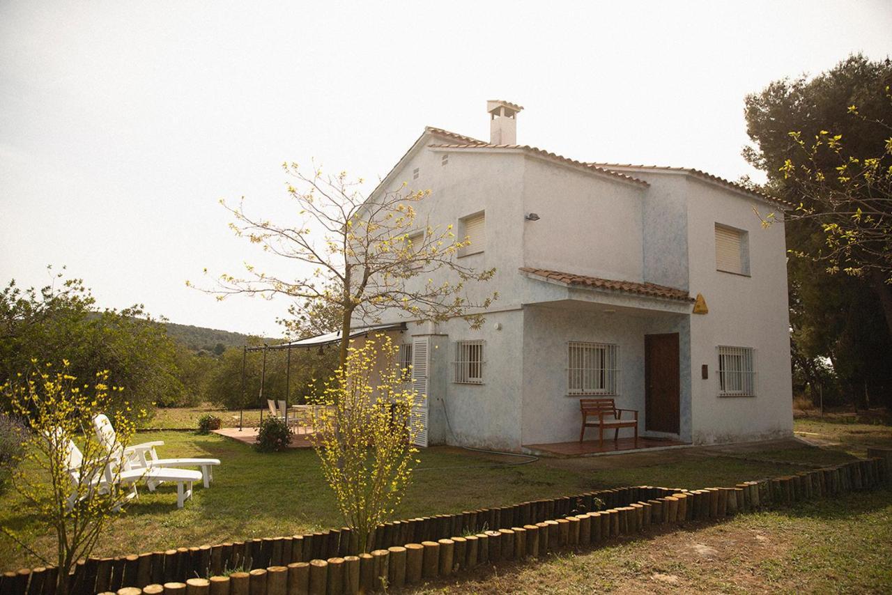Masia Bartomeu Rural House Between Vineyards 2km From The *