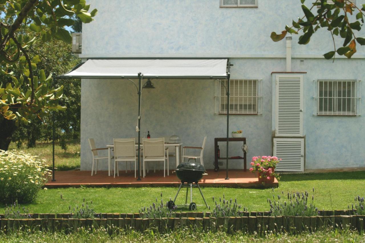 Masia Bartomeu Rural House Between Vineyards 2km From The