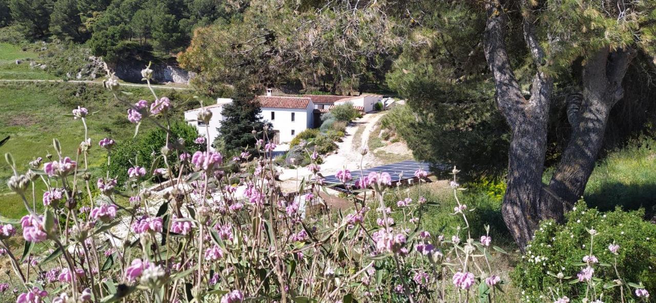 Morenas Country house *