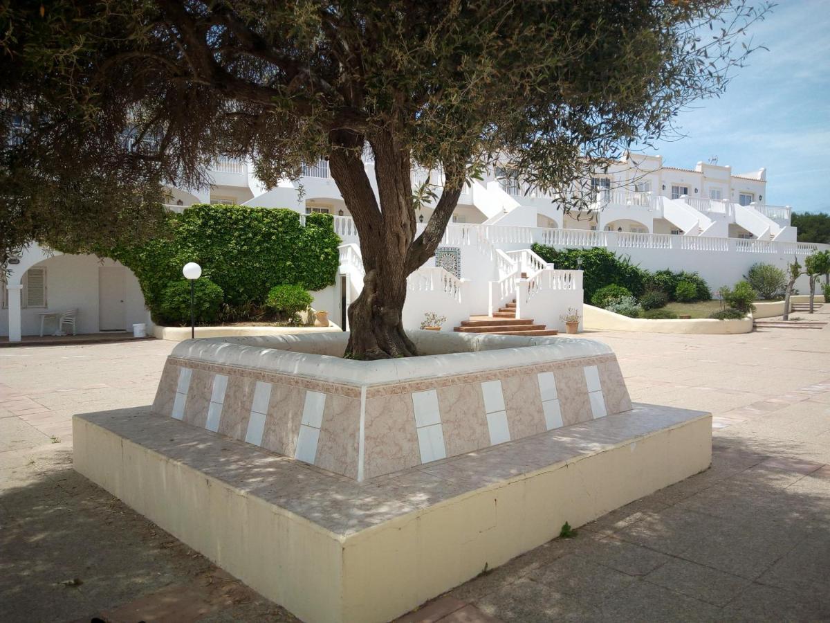 Castellsol Arenal Apartment