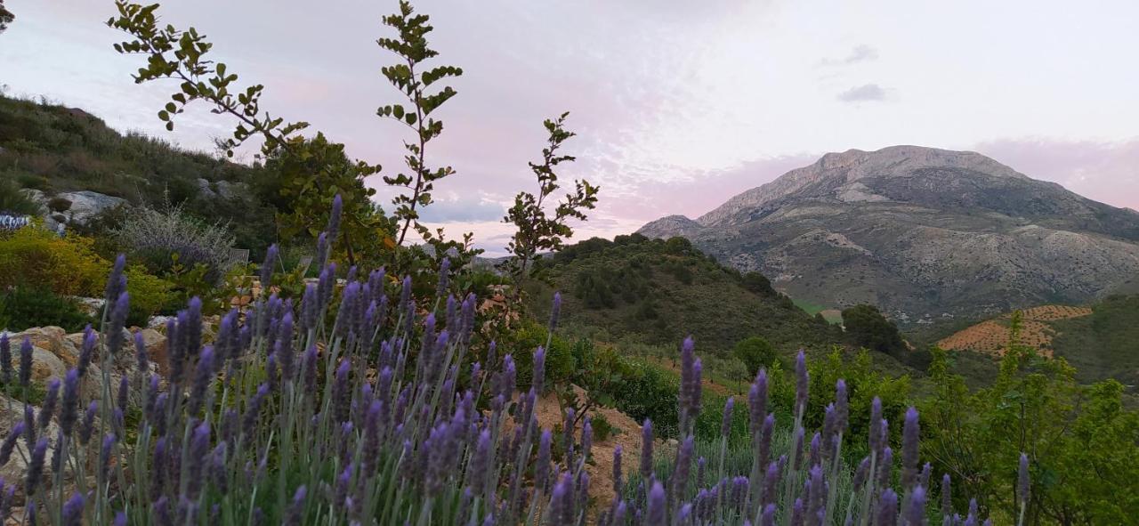 Country house Morenas Yunquera