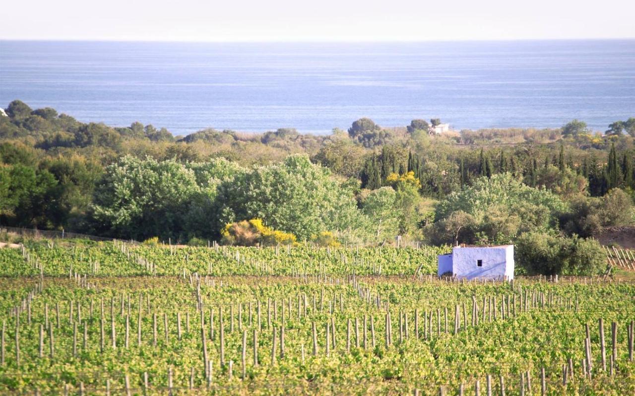 Masia Bartomeu Rural House Between Vineyards 2km From The Сasa de vacaciones El Vendrell