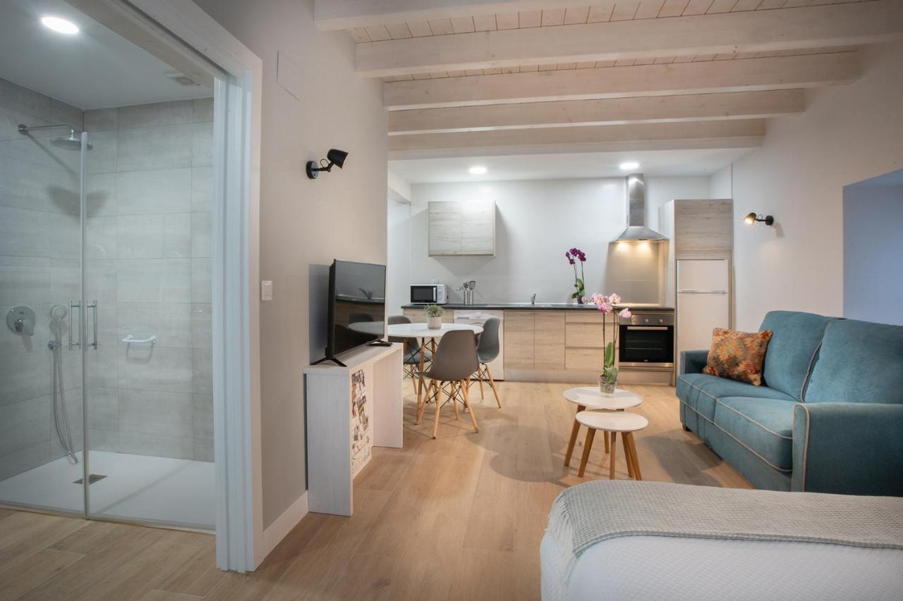Apartamento Hondarmendi