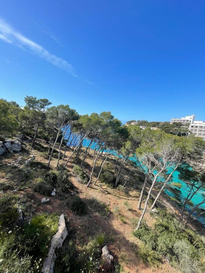 Palmaria Guest house