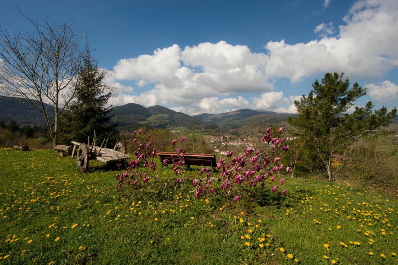 Turisticos Bizkar Bare