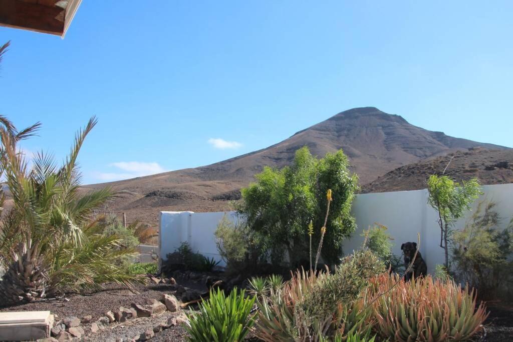 Casa Madre Tierra