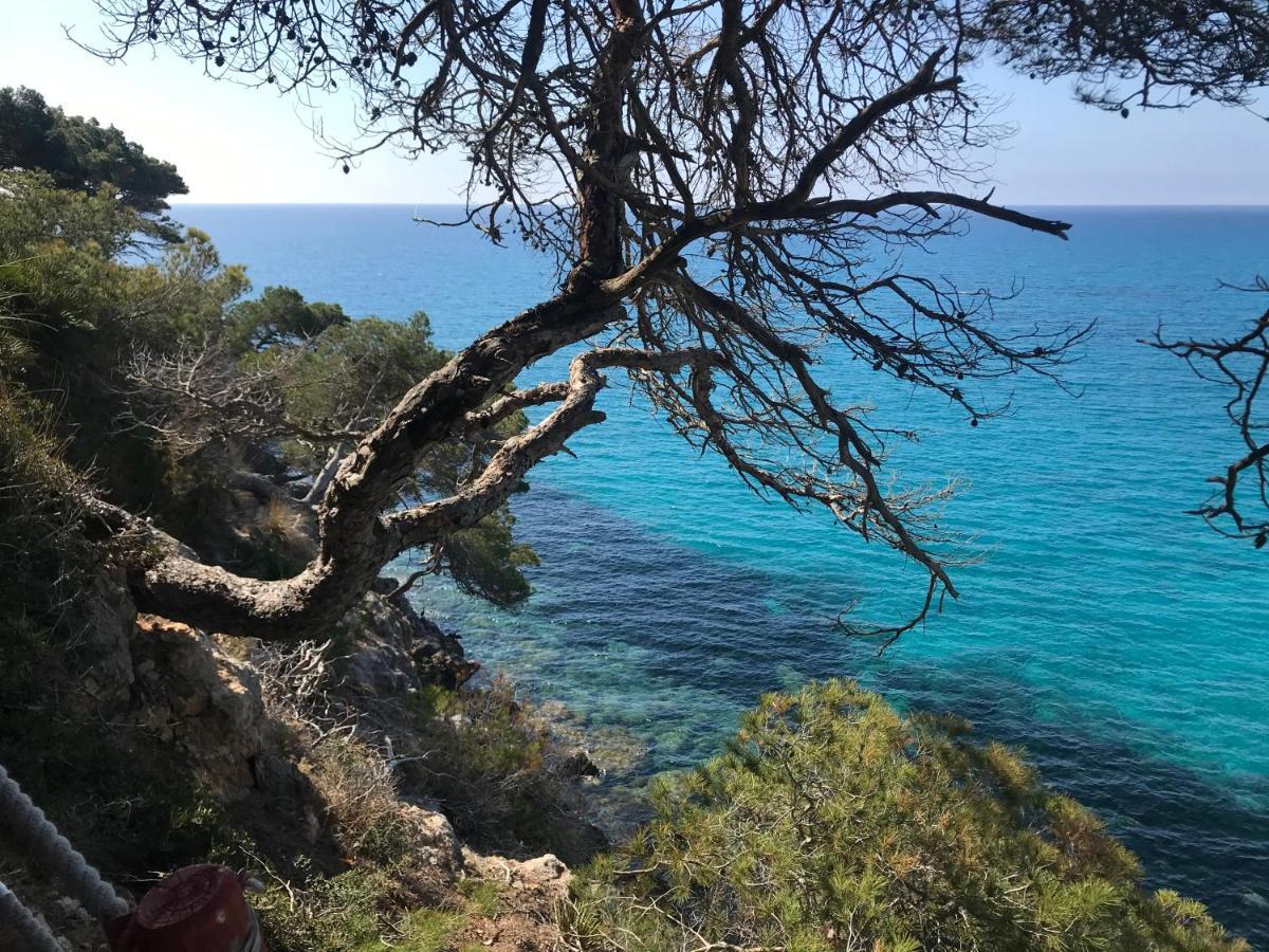 Apartamento Brand New! En Canyamel Cala Agulla Canyamel (Mallorca)