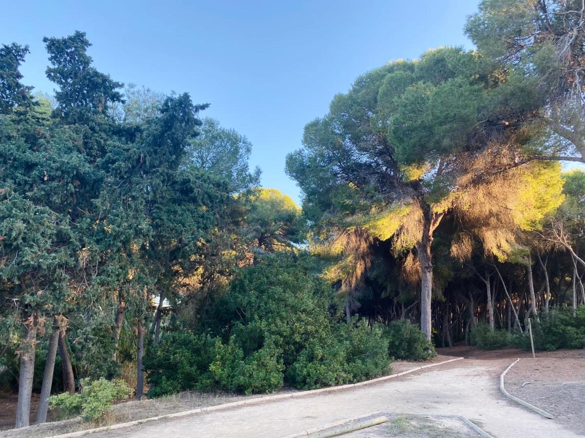 Apartamento Hermosa Glea Dehesa de Campoamor