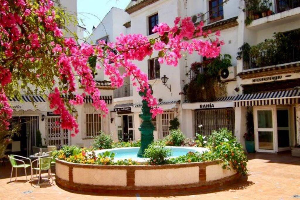Begonia 119 Apartamento