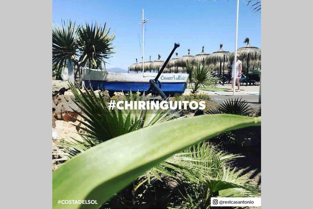Apartamento Begonia 119