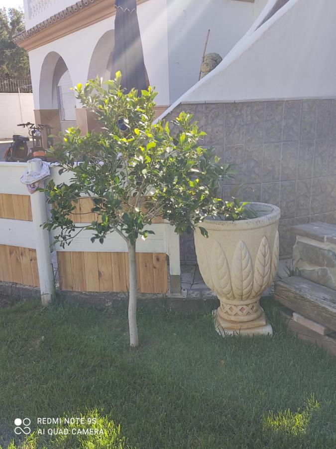Campsite Bungalows La Abuelita Barbate