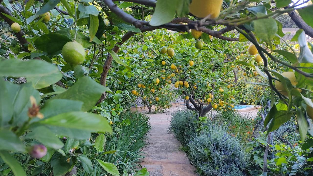 Holiday home Ca Na Menga Soller