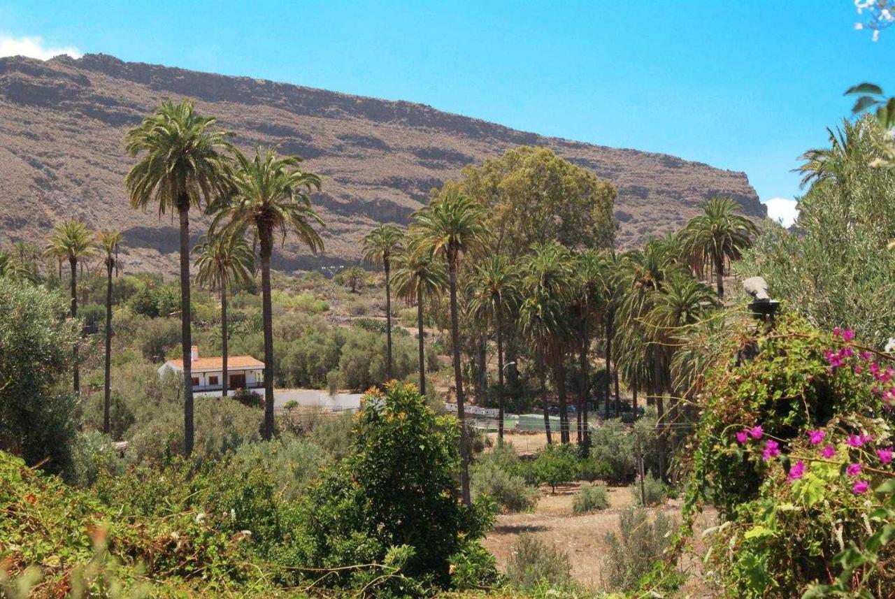 El Olivar El Orujo Holiday home *
