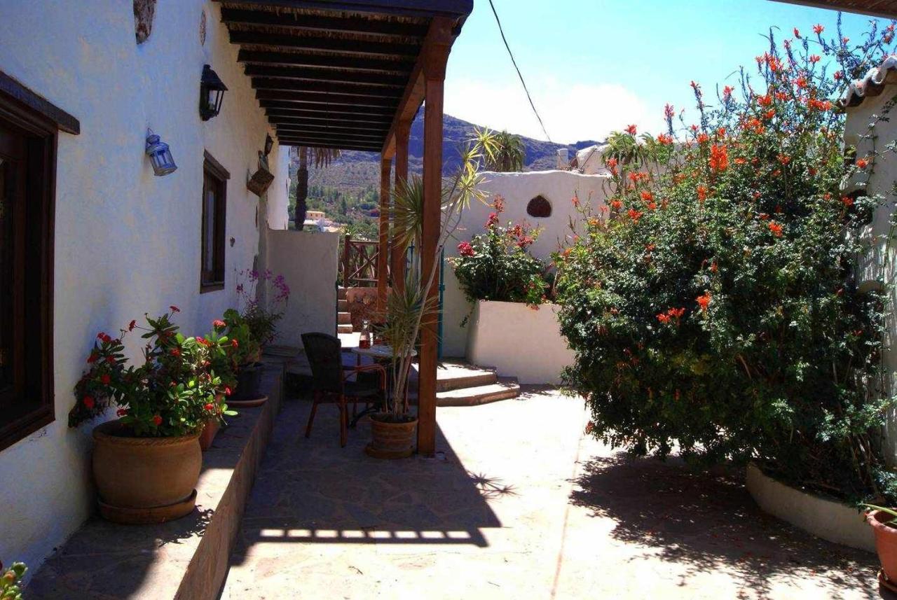 El Olivar El Orujo *
