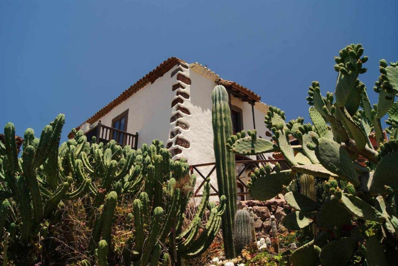 El Olivar El Orujo Holiday home Santa Lucia De Tirajana