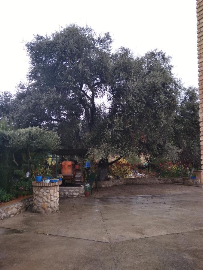 Cortijo De Flores Cazorla Casa rural