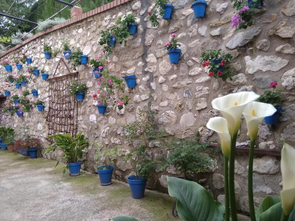 Casa rural Cortijo De Flores Cazorla *