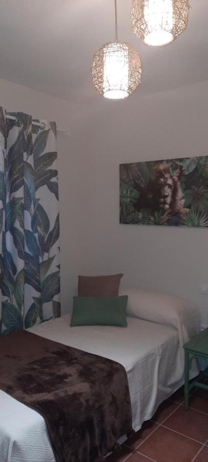 Residencial Oasis Park Lajita