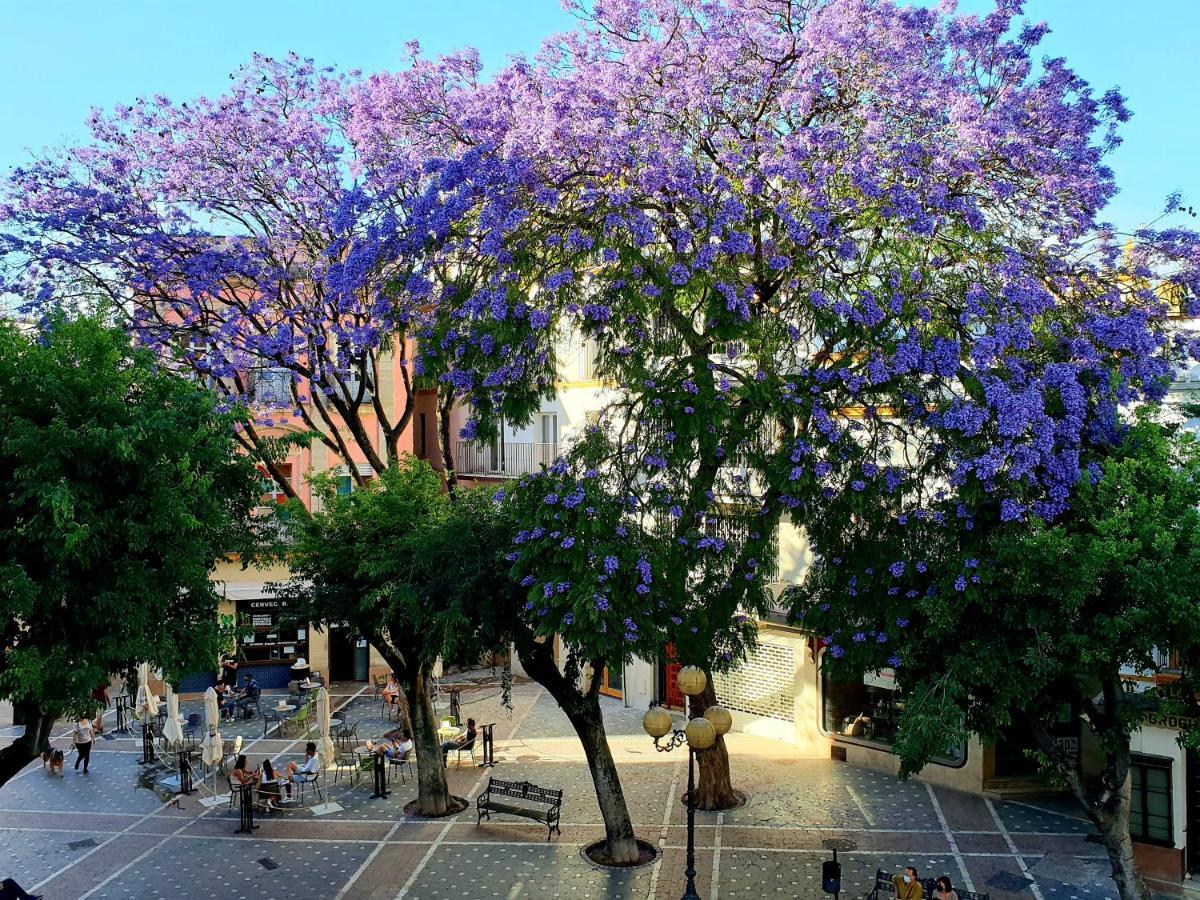 Sherryflat Senovilla Apartamento Jerez de la Frontera