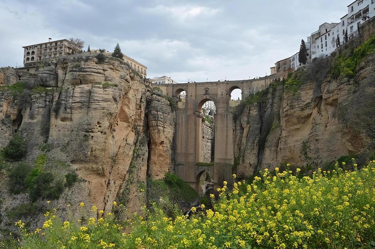Rosas De Benaojan