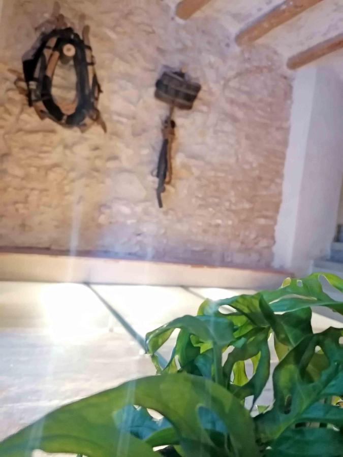 Ca La Lola - Experiencies Rurals Holiday home