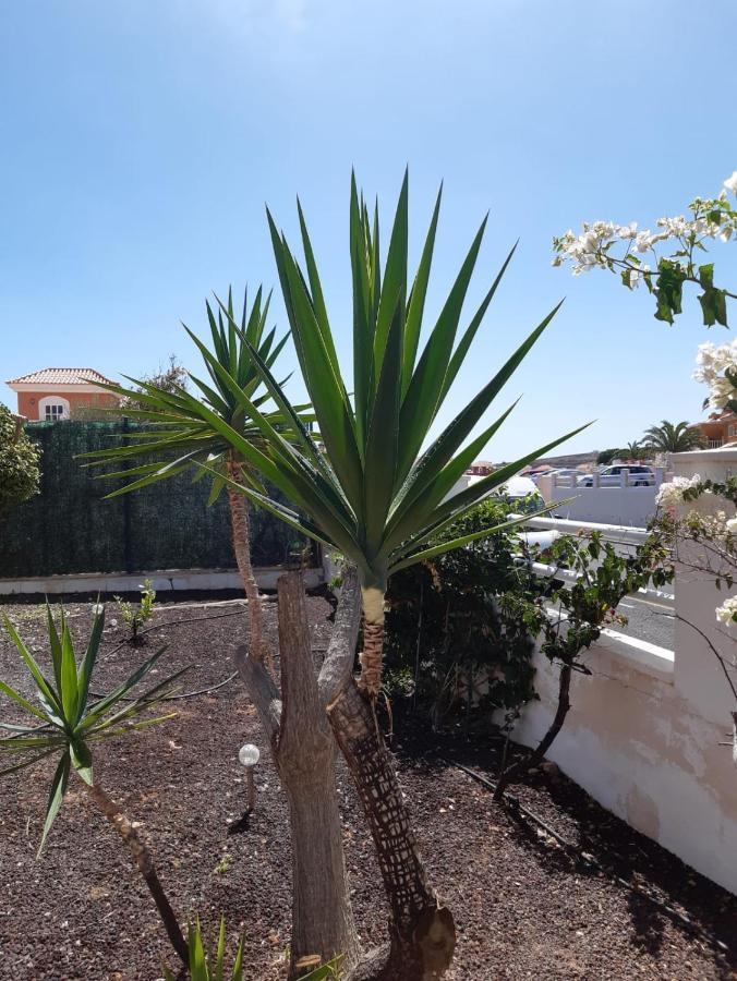 Villa Dwarika, Away From - Private Heated Pool