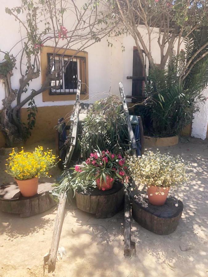 Inn Rural La Corbera 2*