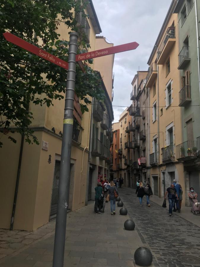 Con Mucho Encanto En El Barri Vell , Old Town, De Girona, El Cul De La Lleona * Gerona