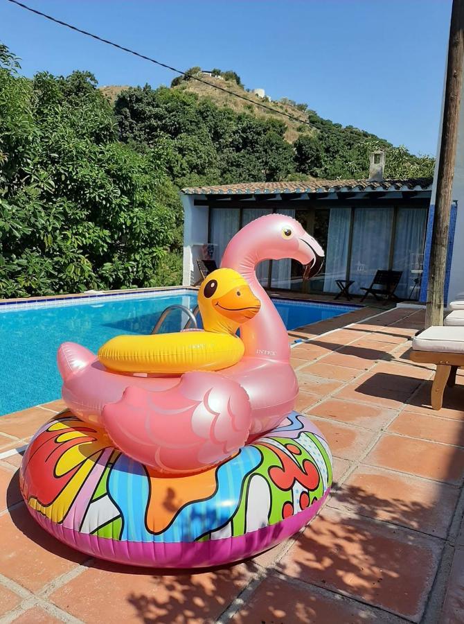 Bed & Breakfast Rural El Oasis