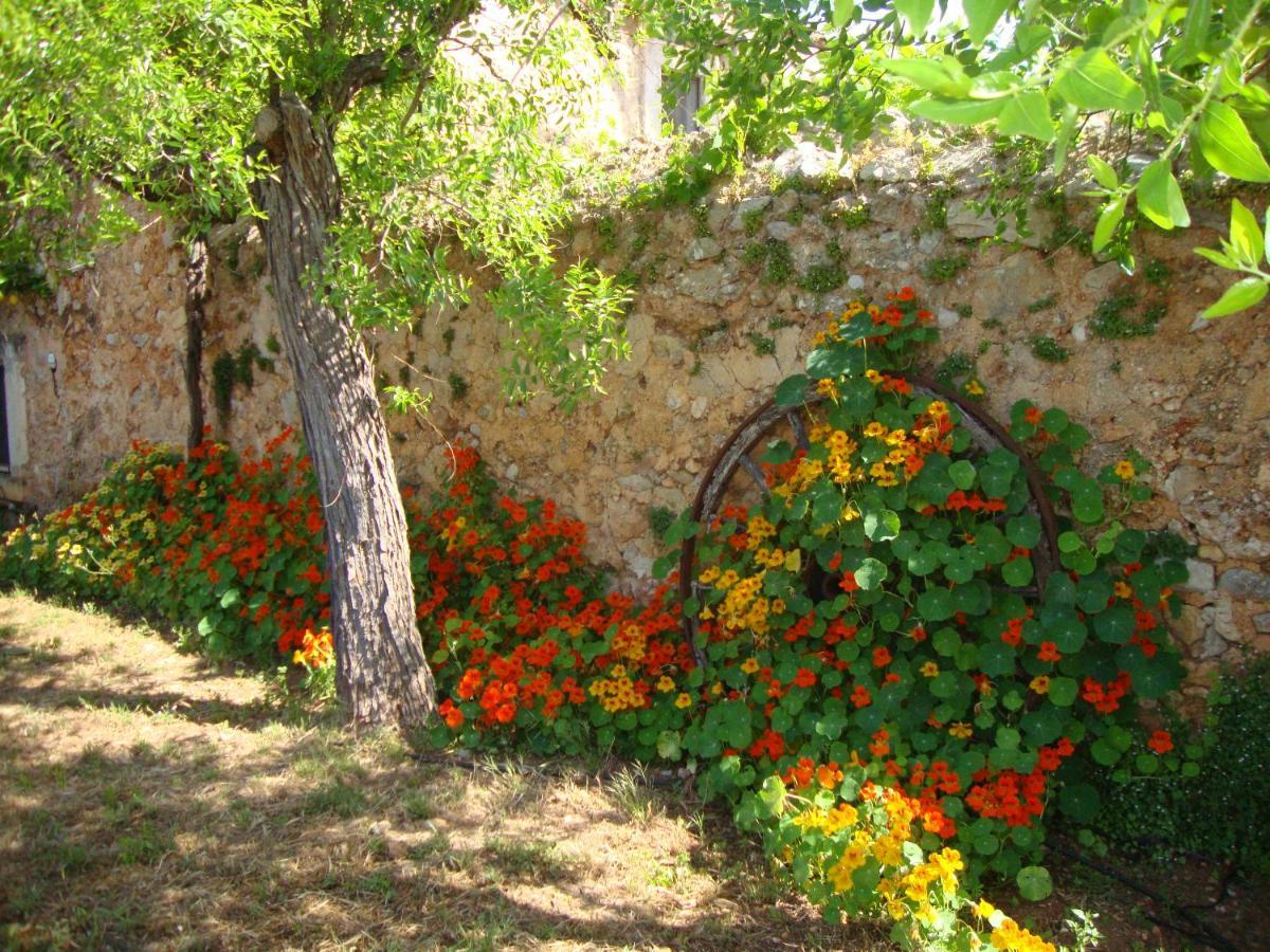 Son Pons Búger