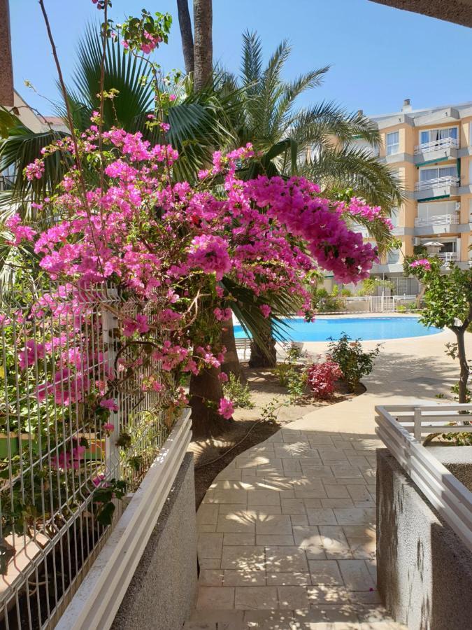 Aurelia Apartamento *