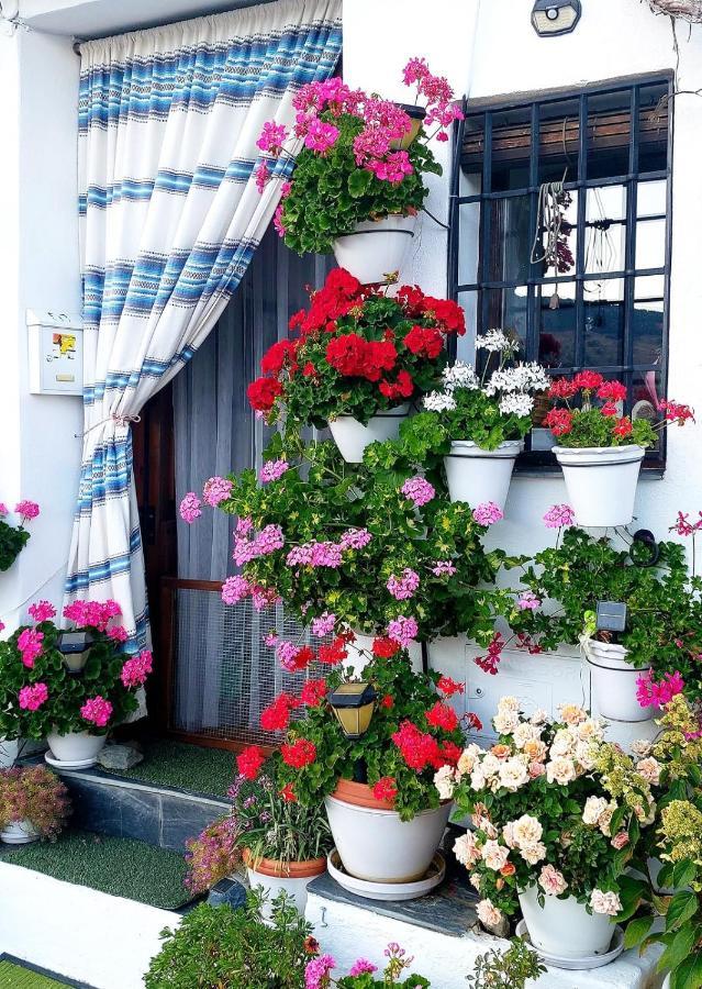 Apartamento Casa Alhambra - Centro Histórico Con Jardín Privado
