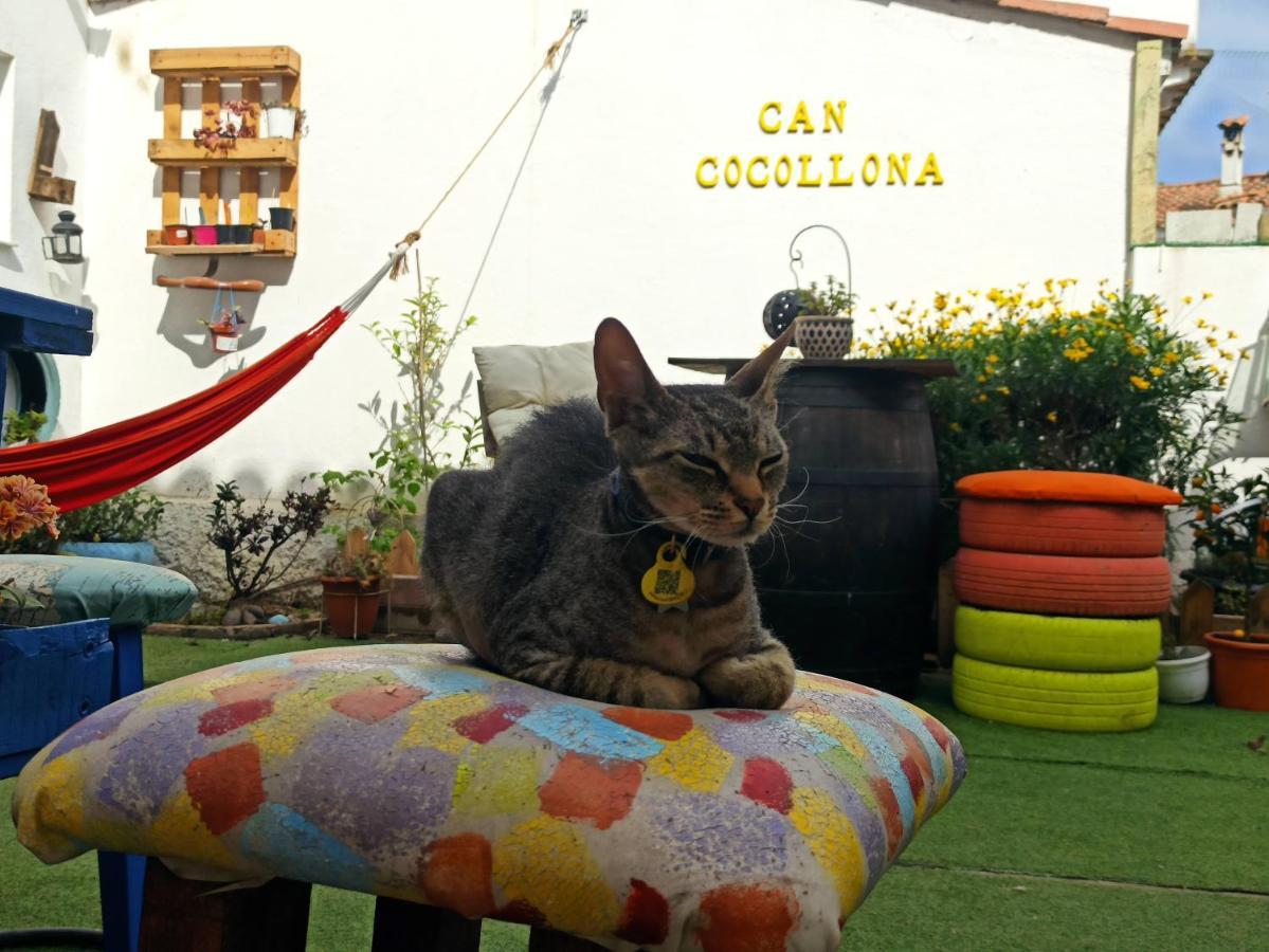 Cocollona Hostal