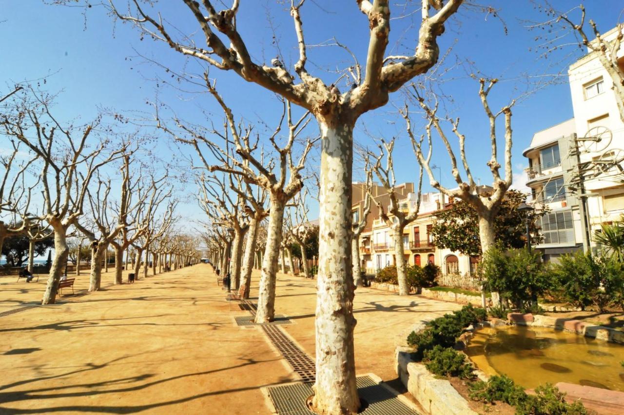 Homeholidaysrentals Space Calella