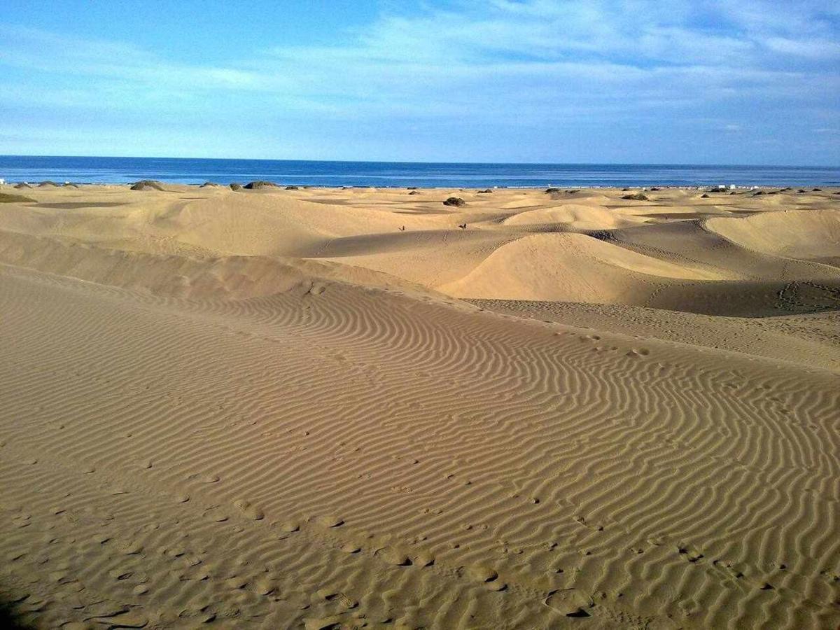 Aloe Maspalomas Cerca De Yumbo Playas Y Dunas * Playa del Inglés
