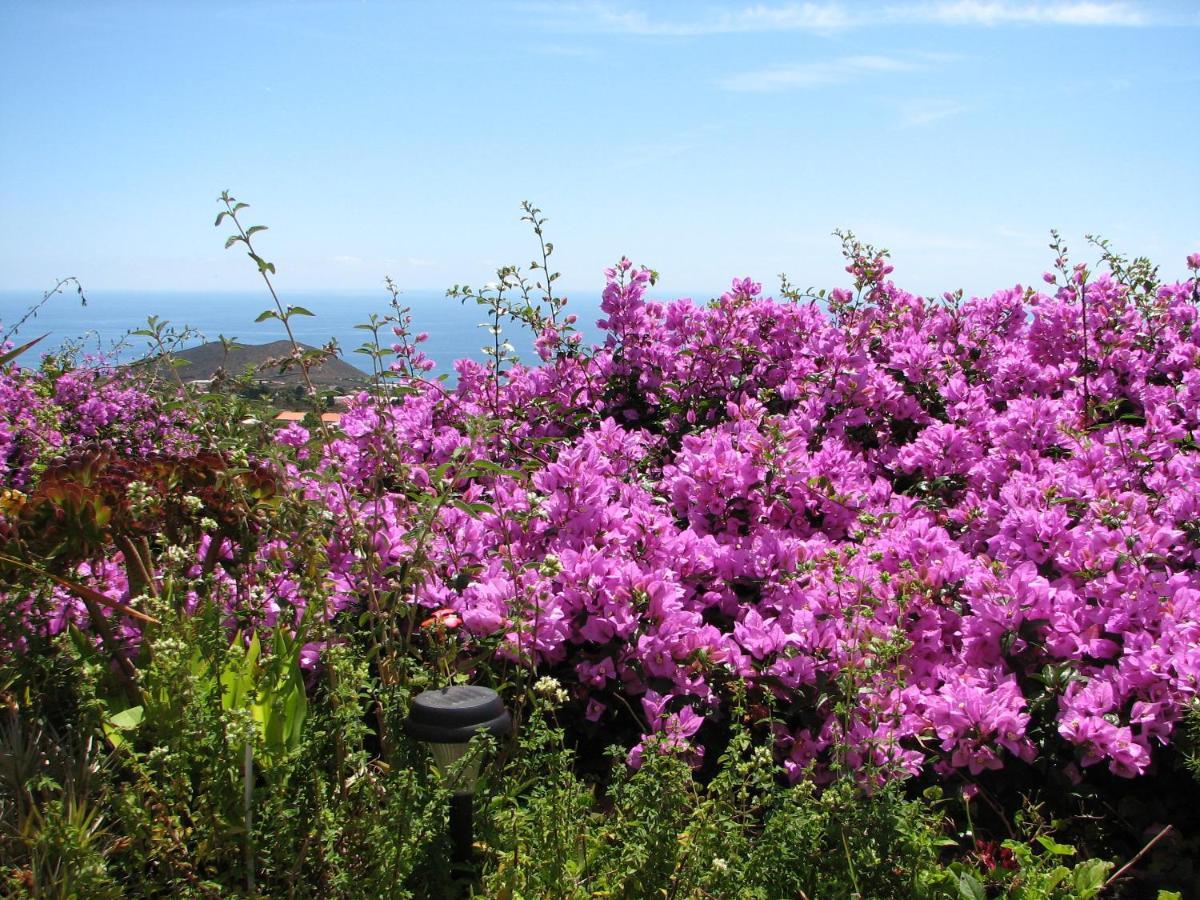 Сasa de vacaciones Casa Flores Los Llanos De Aridane