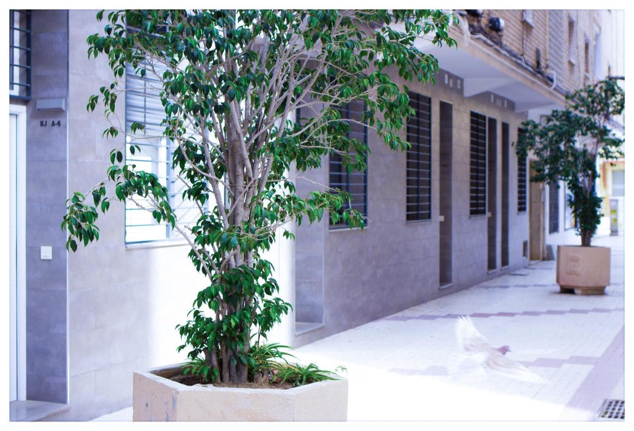 Apartamento Estación-centro Vialia *