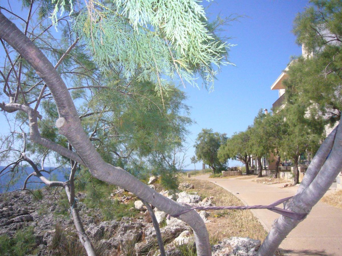 Holiday Randemar *