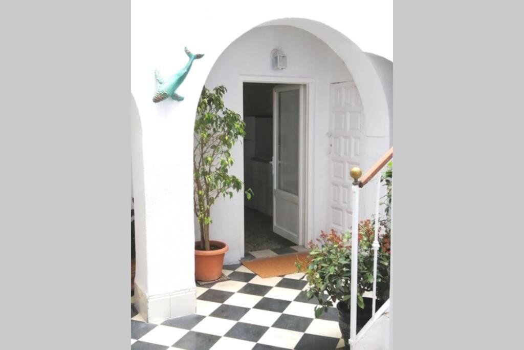 Apartment El Patio De La Ballena *